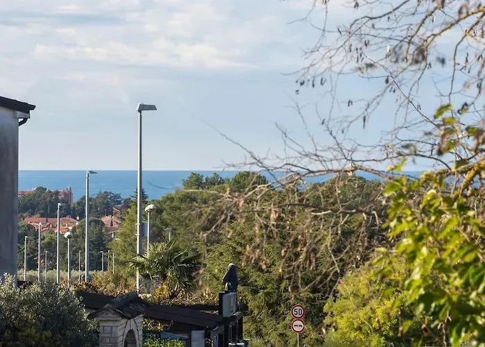 Rosello 2 By Briskva *