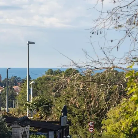 Rosello 2 By Briskva *